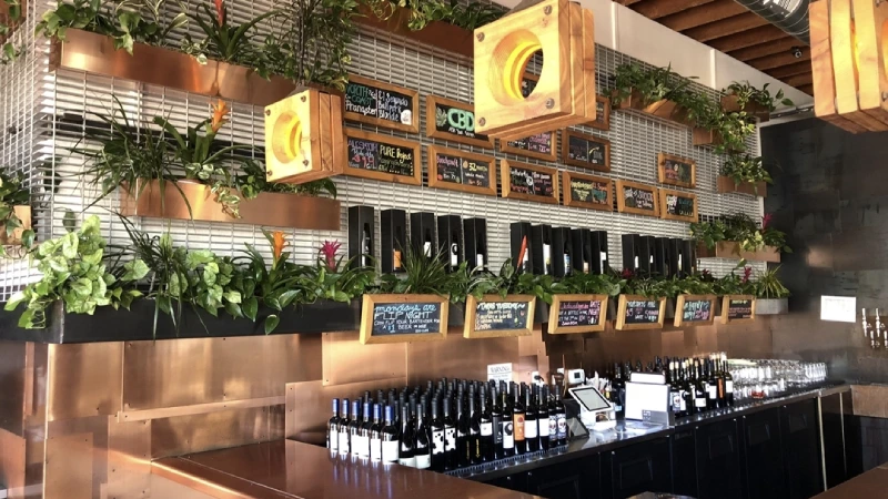plants in bar